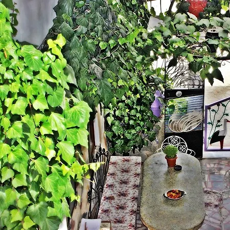 Quarto em Acomodações Particulares Barim *
