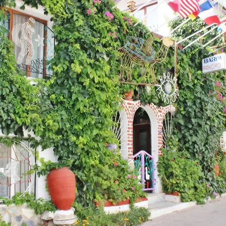 Barim Selçuk